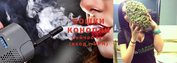 PSILOCYBIN Магас