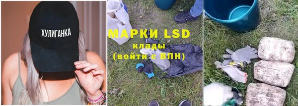 PSILOCYBIN Магас