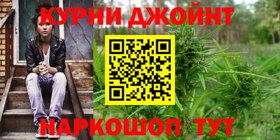 скорость Кингисепп