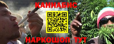 шишки Кинель