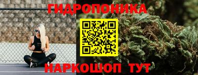 шишки Кинель