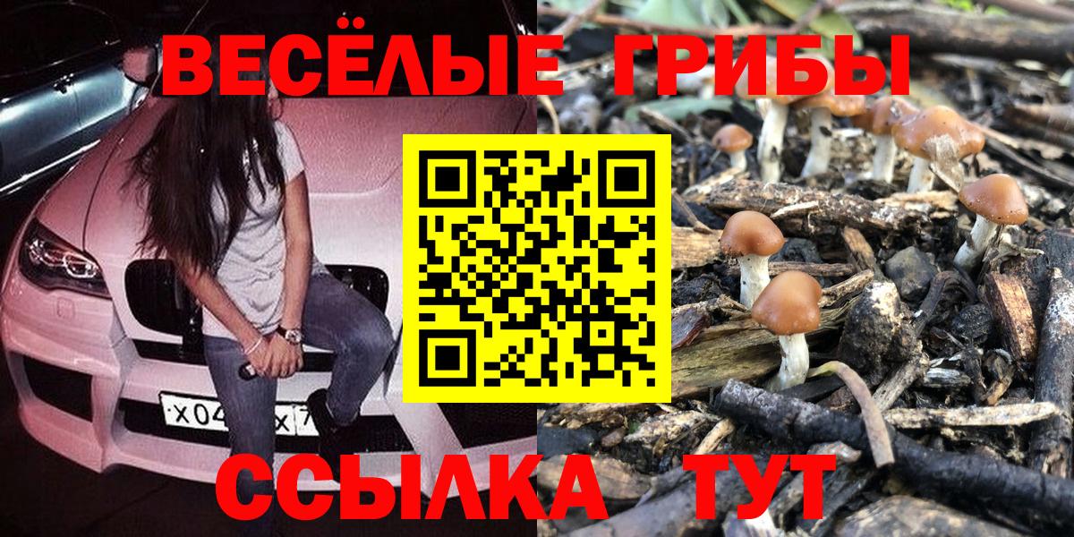закладки  Галлюциногенные грибы GOLDEN TEACHER  Вход с VPN  Сорочинск 