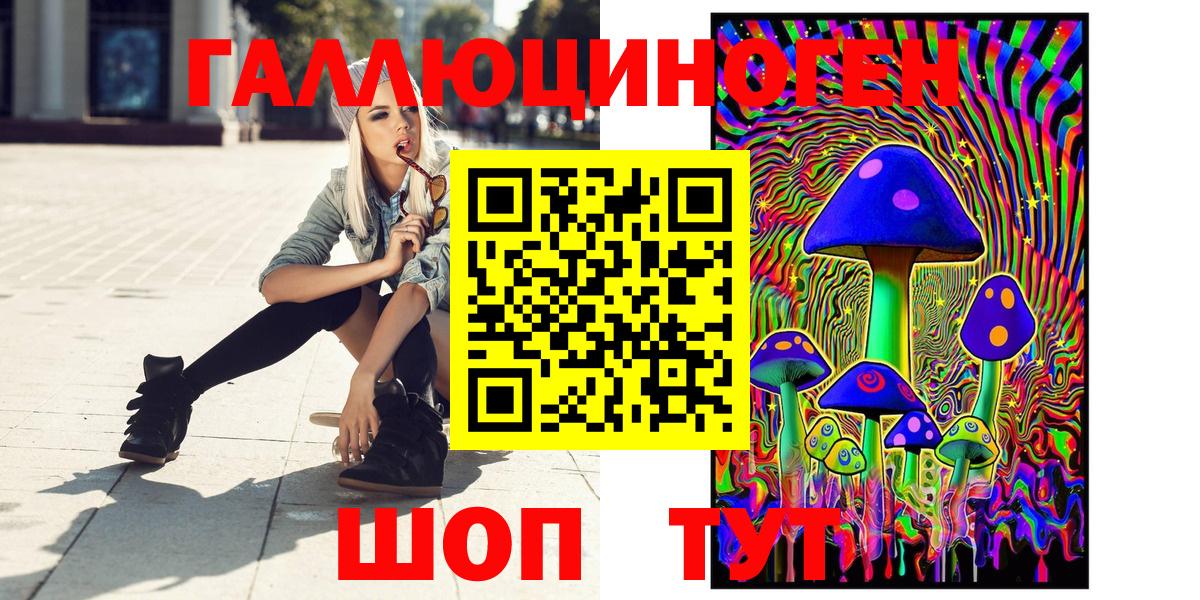 Галлюциногенные грибы Psilocybine cubensis Сорочинск